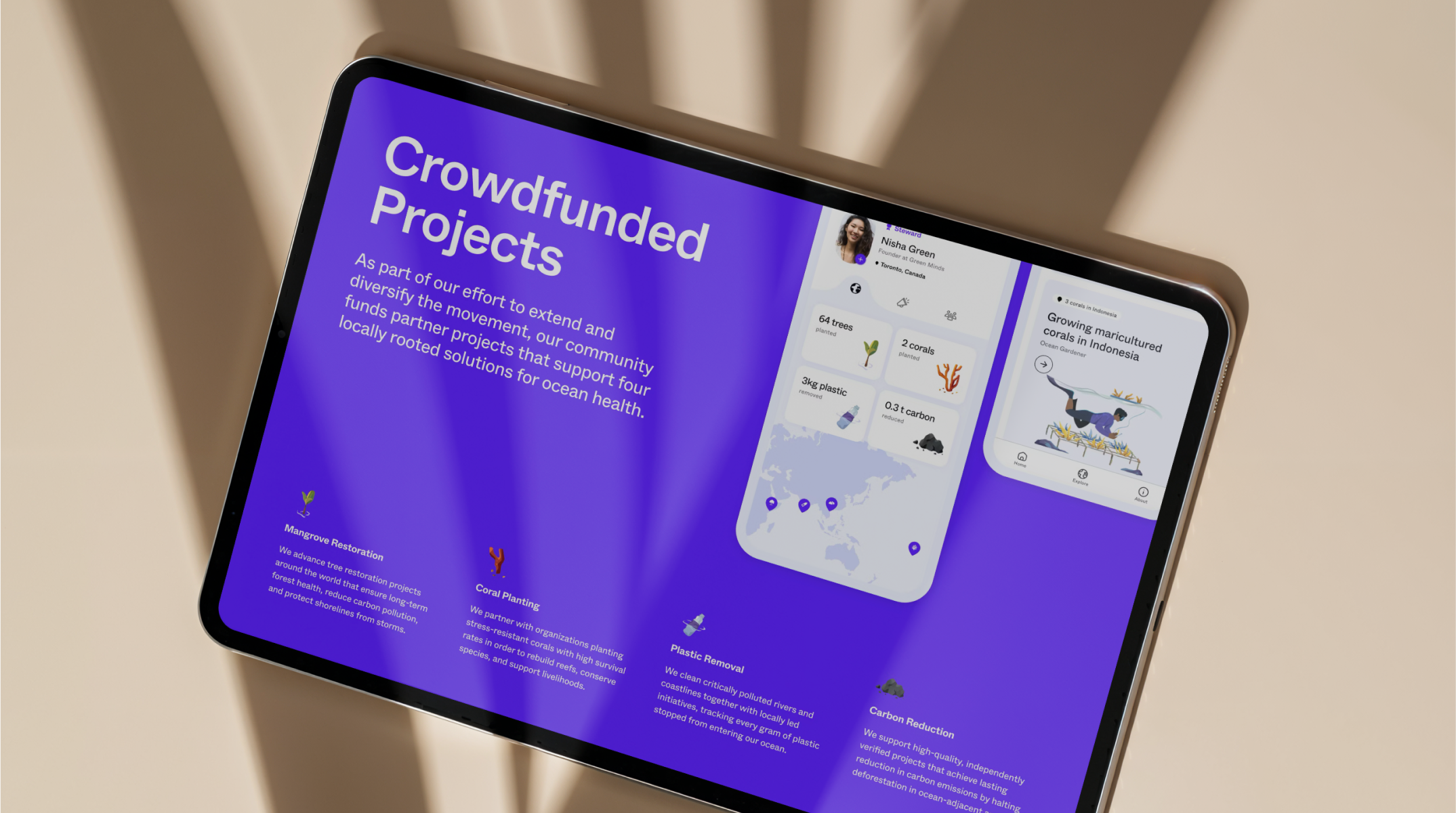 Only One Impact Report on an iPad