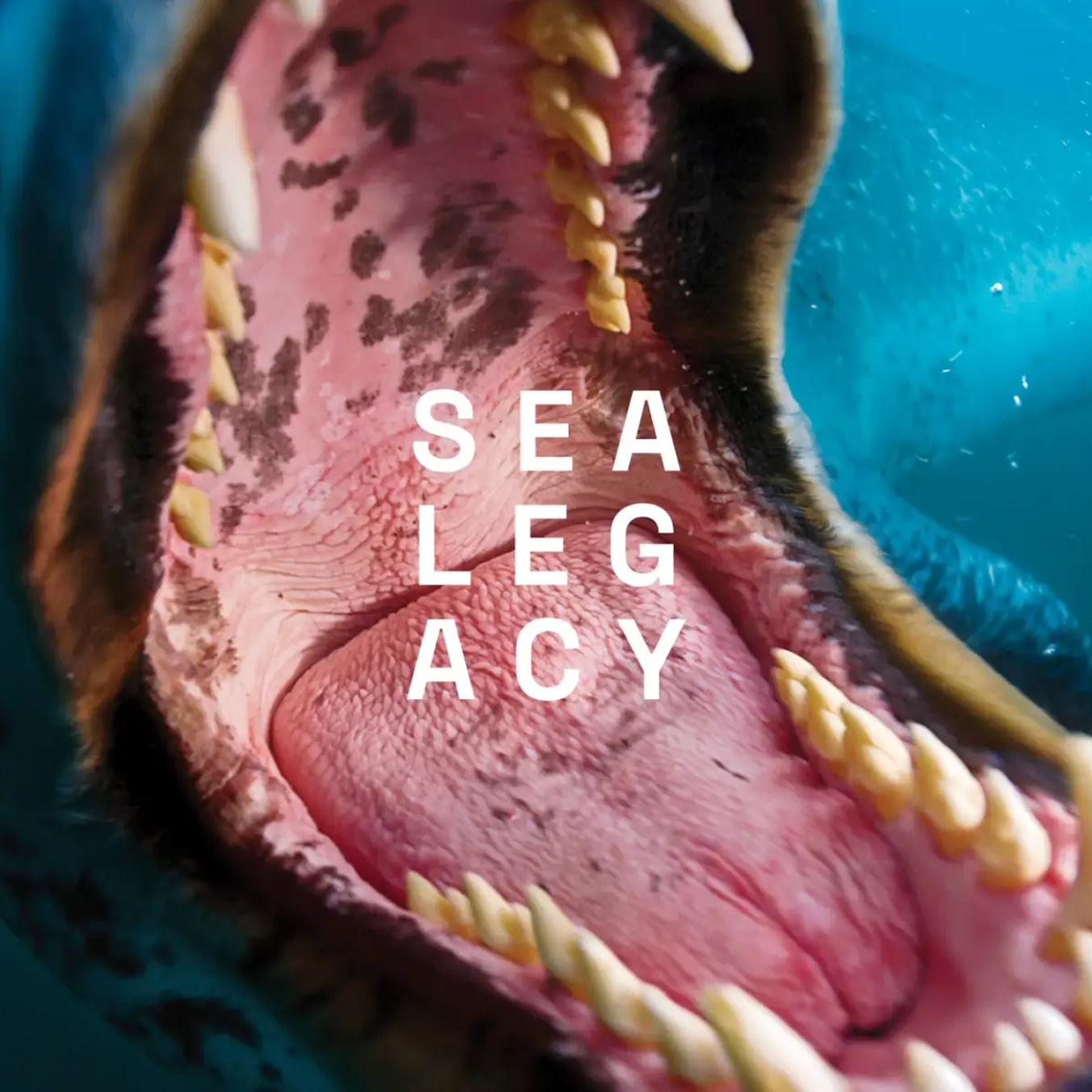 SeaLegacy by Driftime®