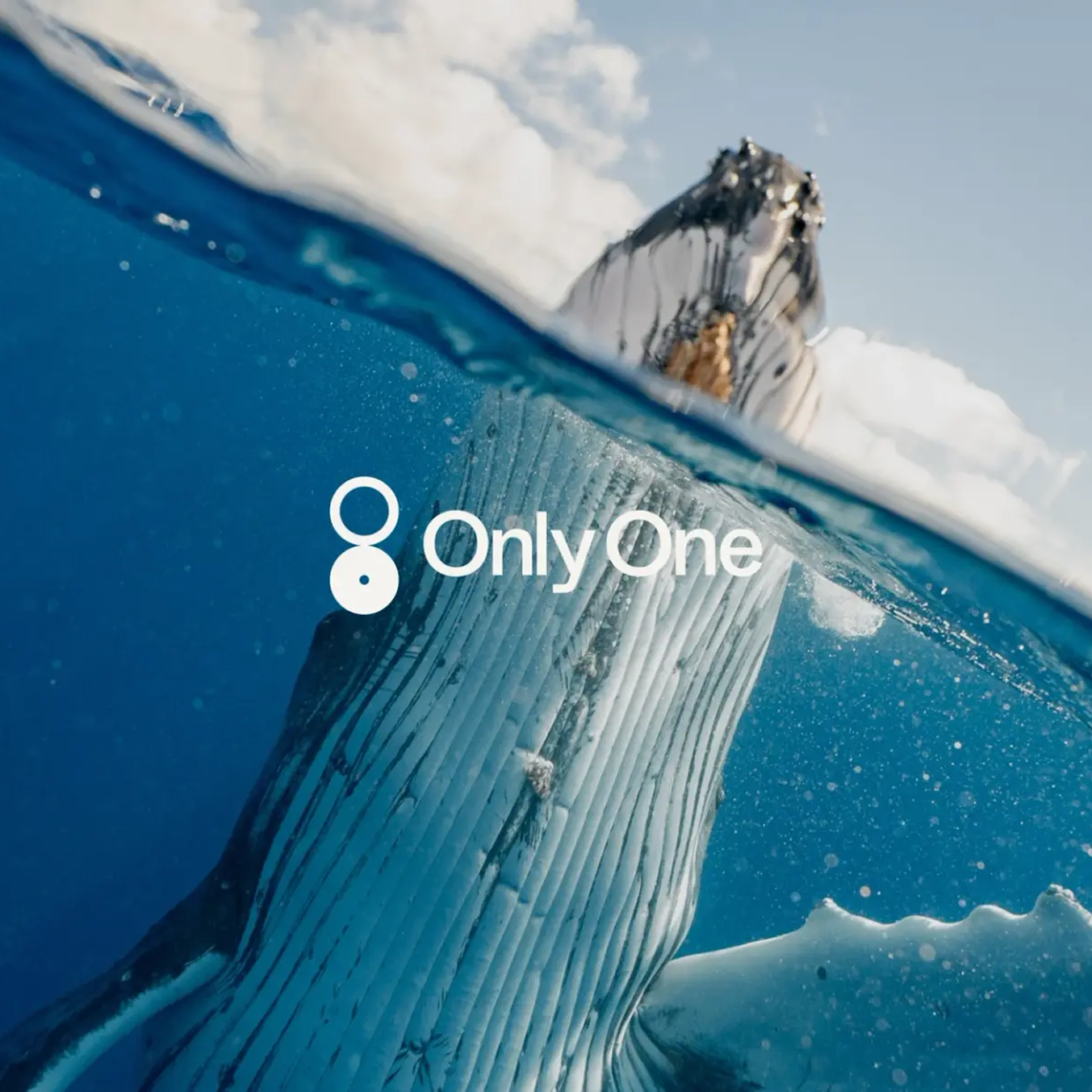 Only One by Driftime®