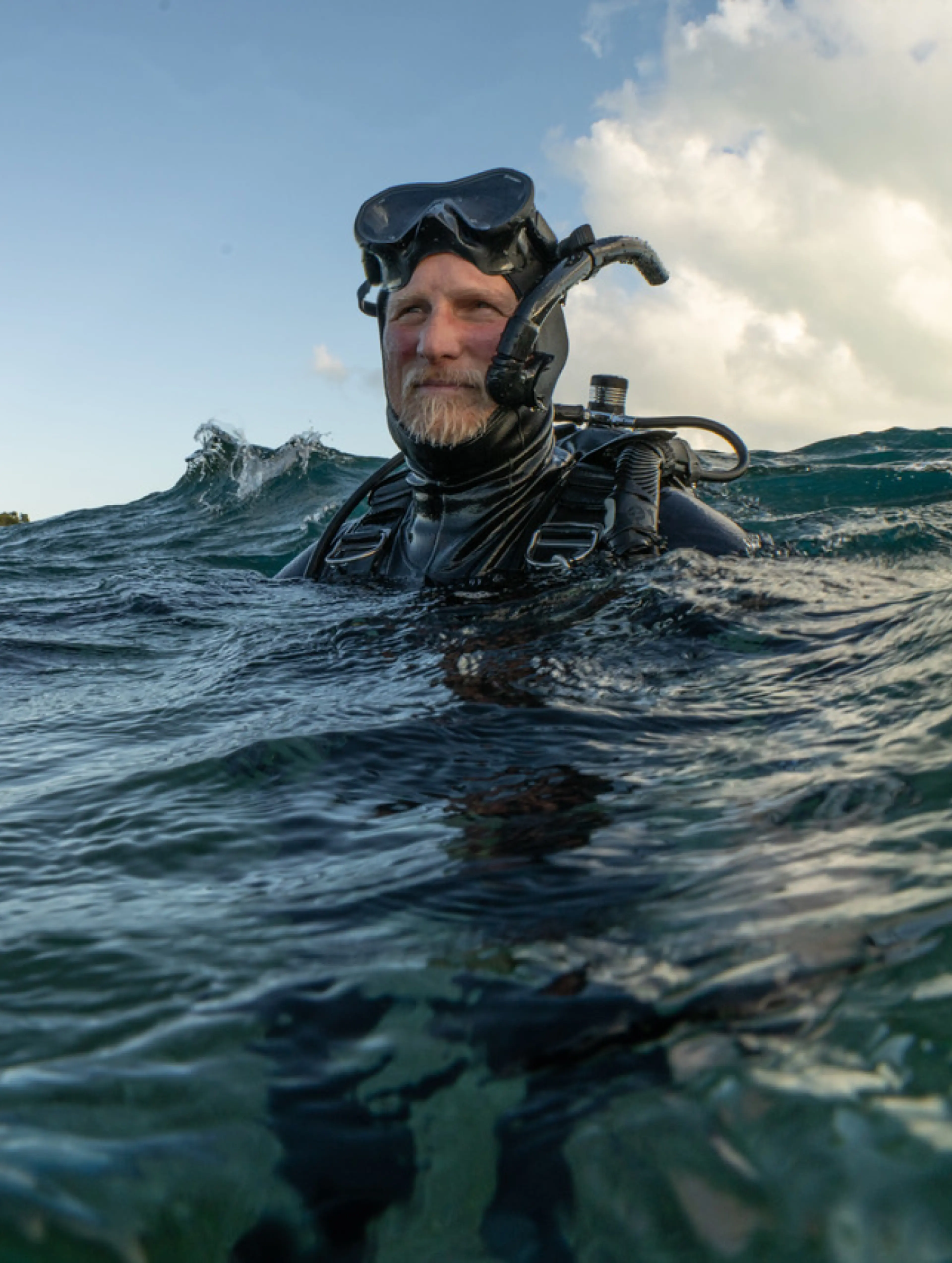 SeaLegacy by Driftime®