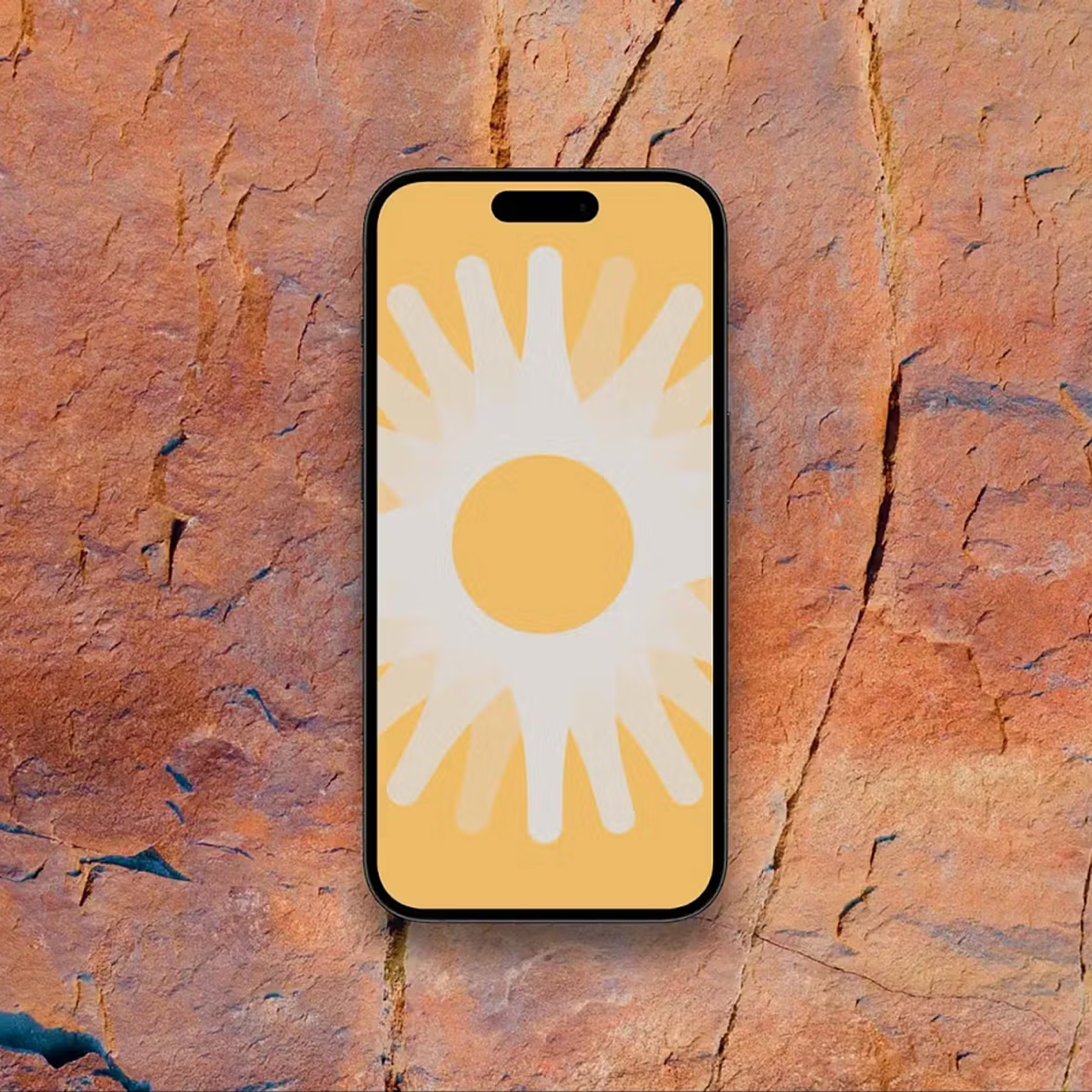 Roadrunner Venture Studios