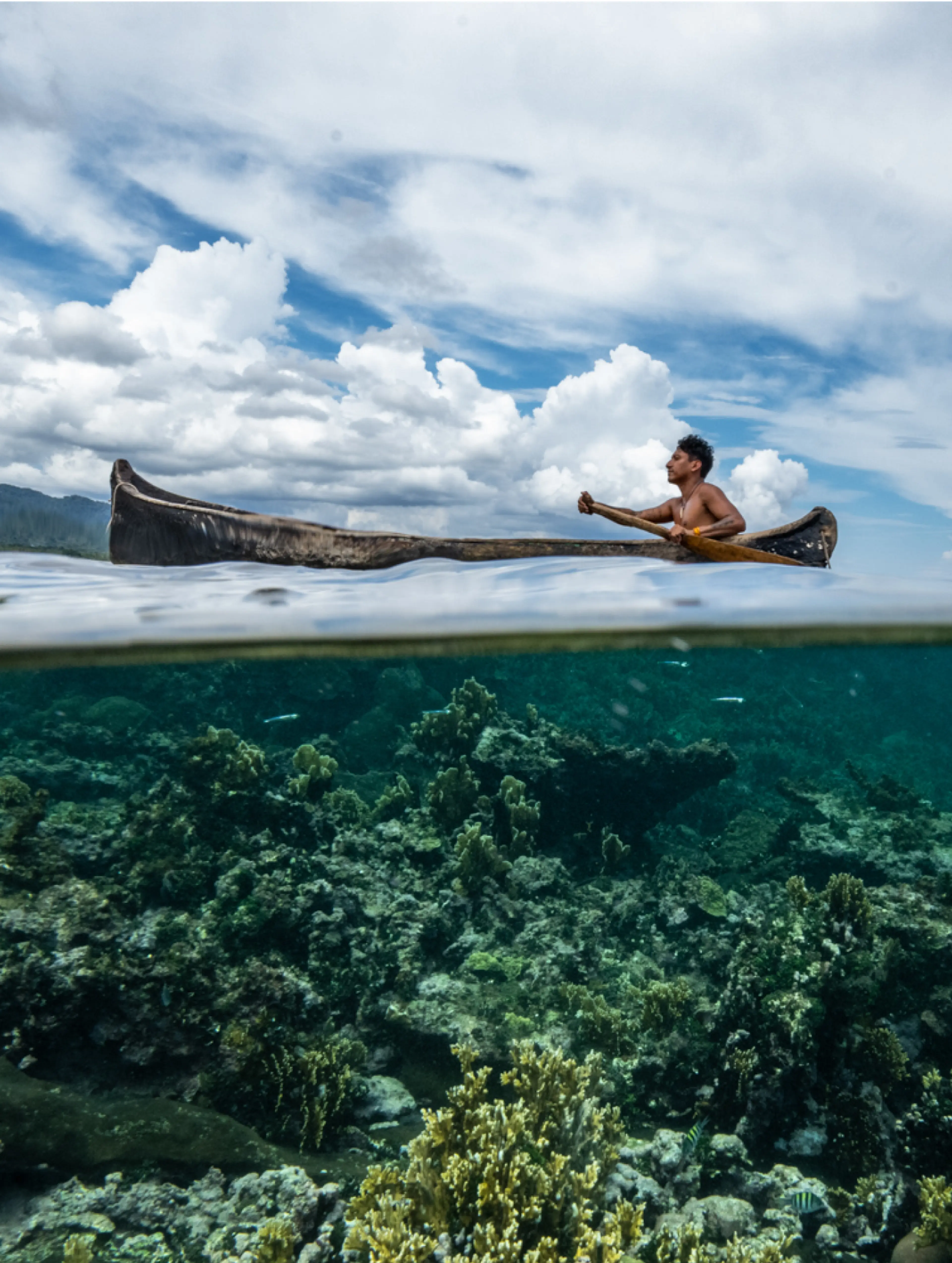 SeaLegacy by Driftime®