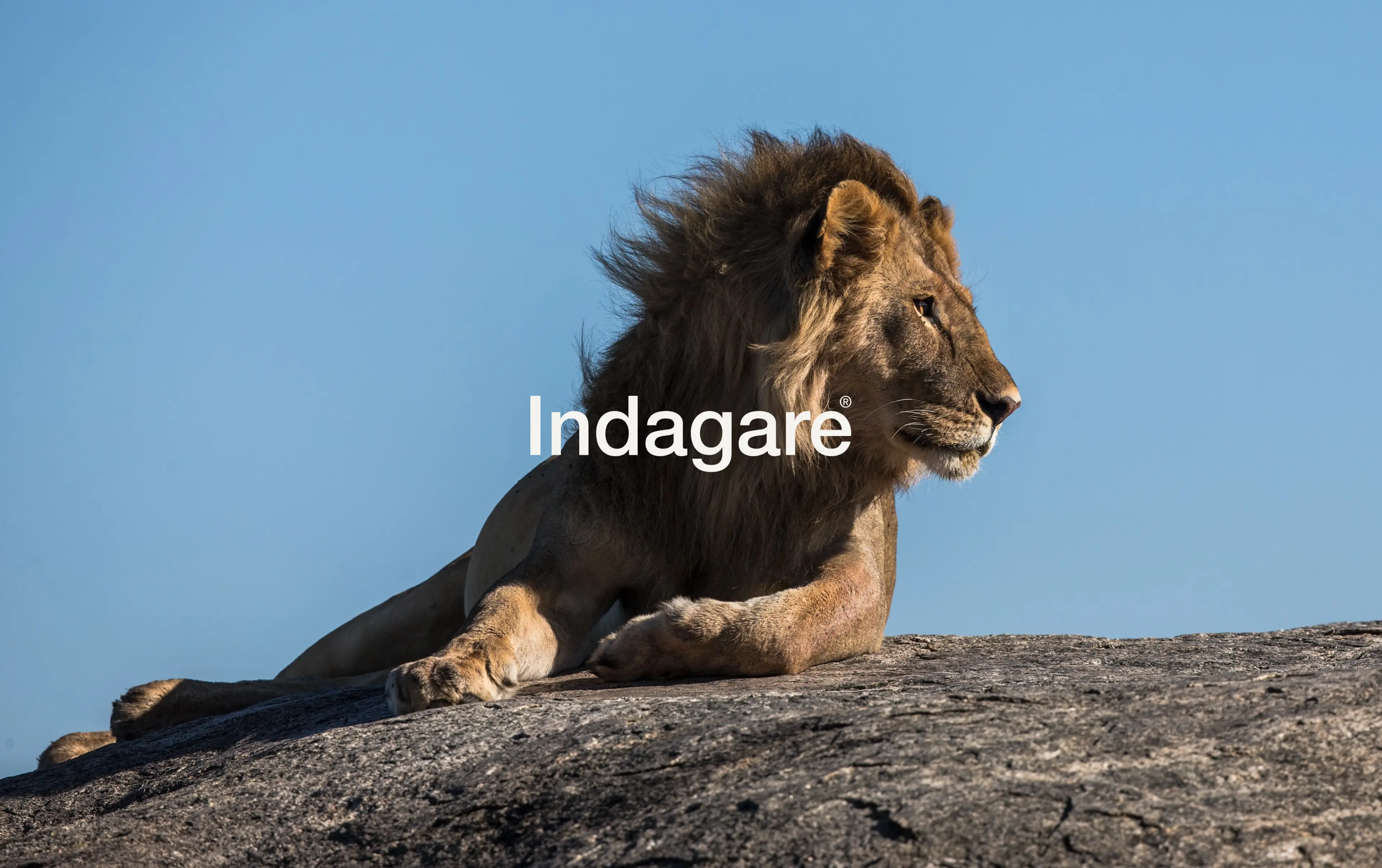 Indagare by Driftime®