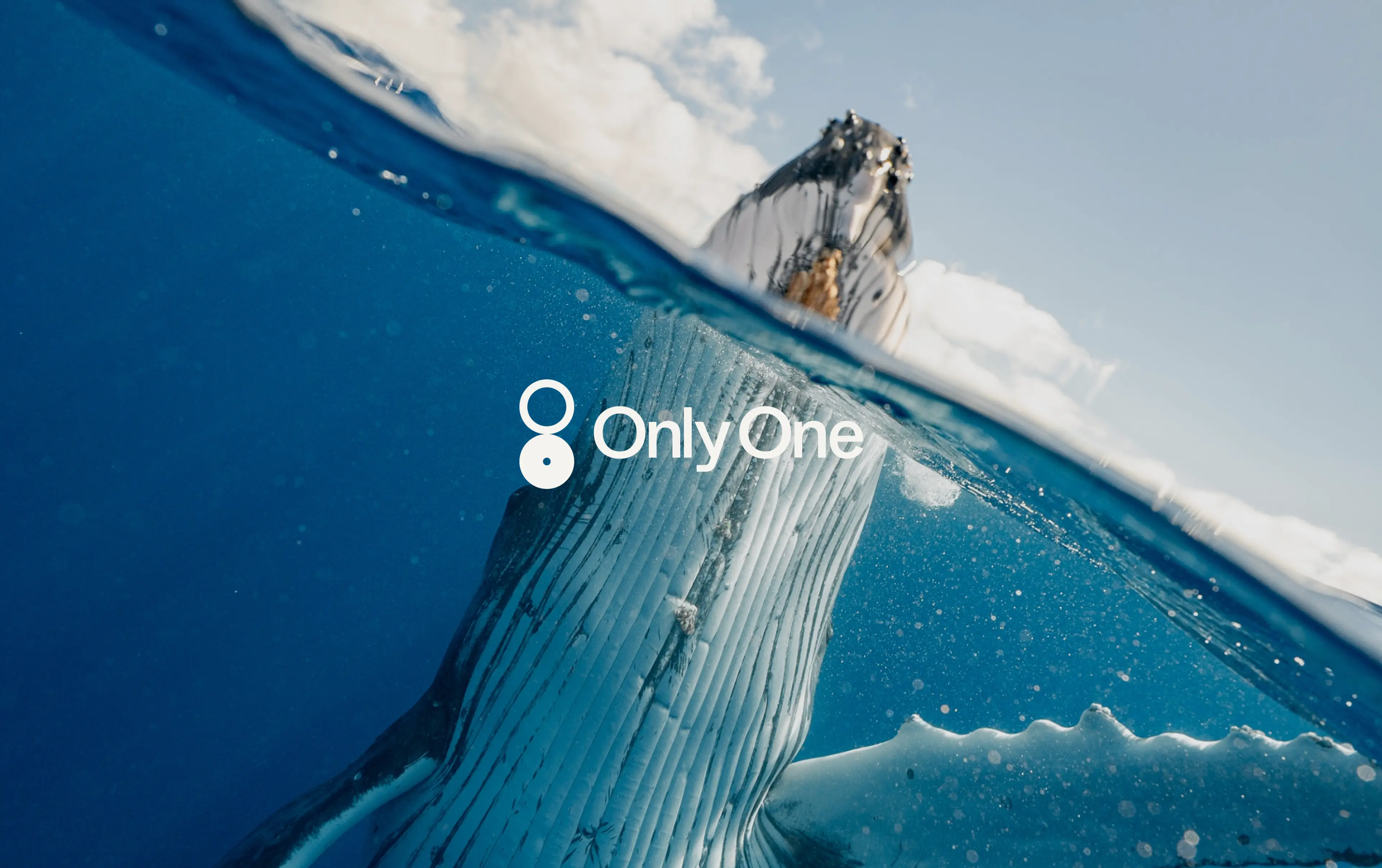 Only One by Driftime®