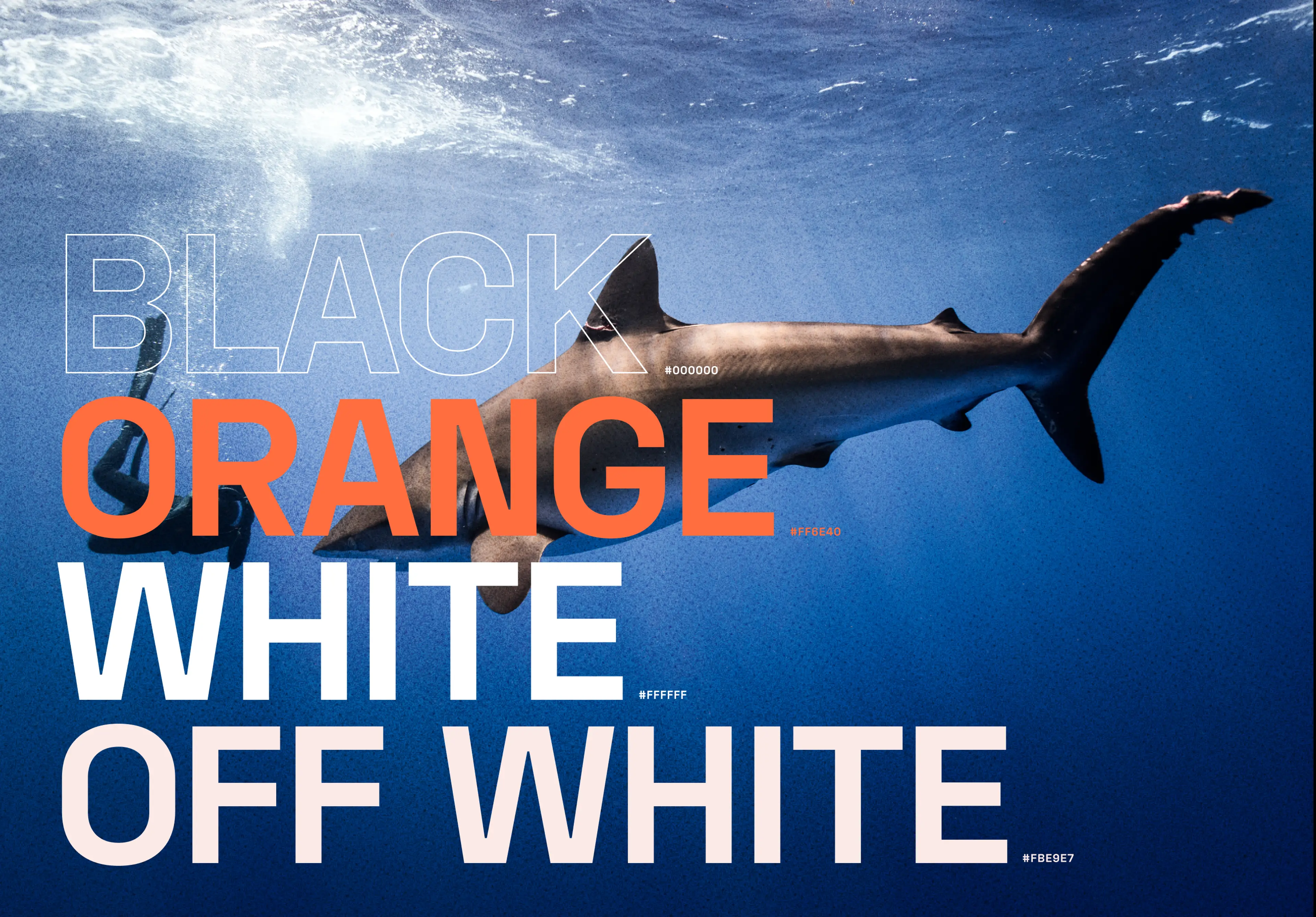 SeaLegacy by Driftime®