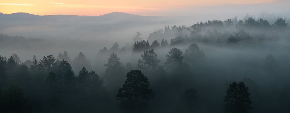 Screenshot of Berkeley Earth