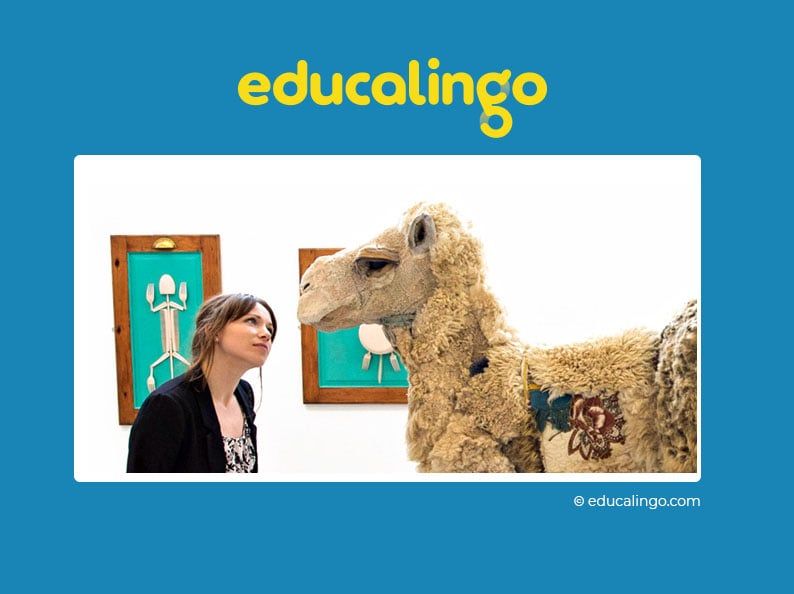 Screenshot of Educalingo
