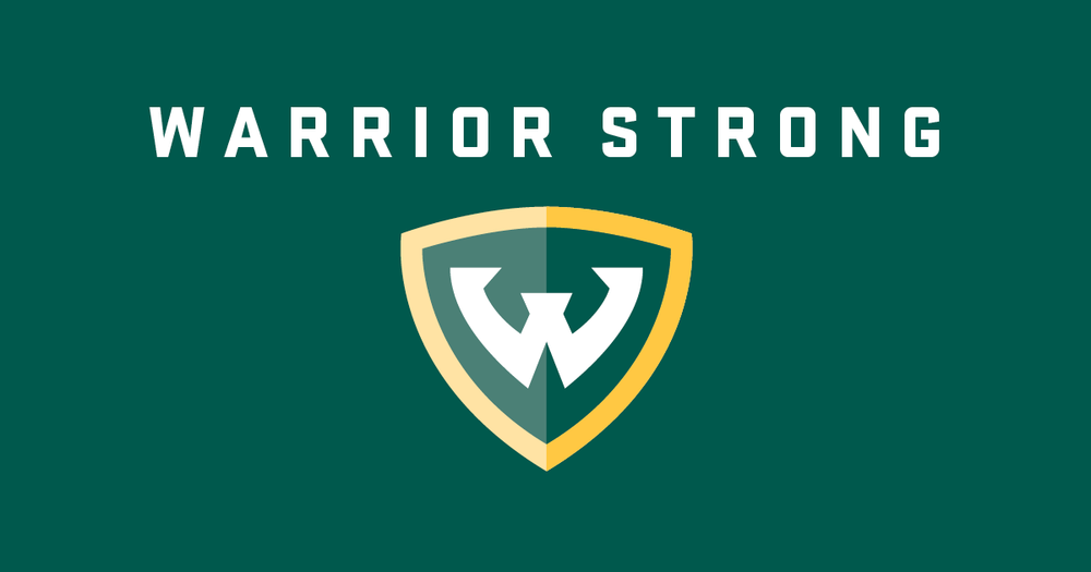 Screenshot of Word Warriors