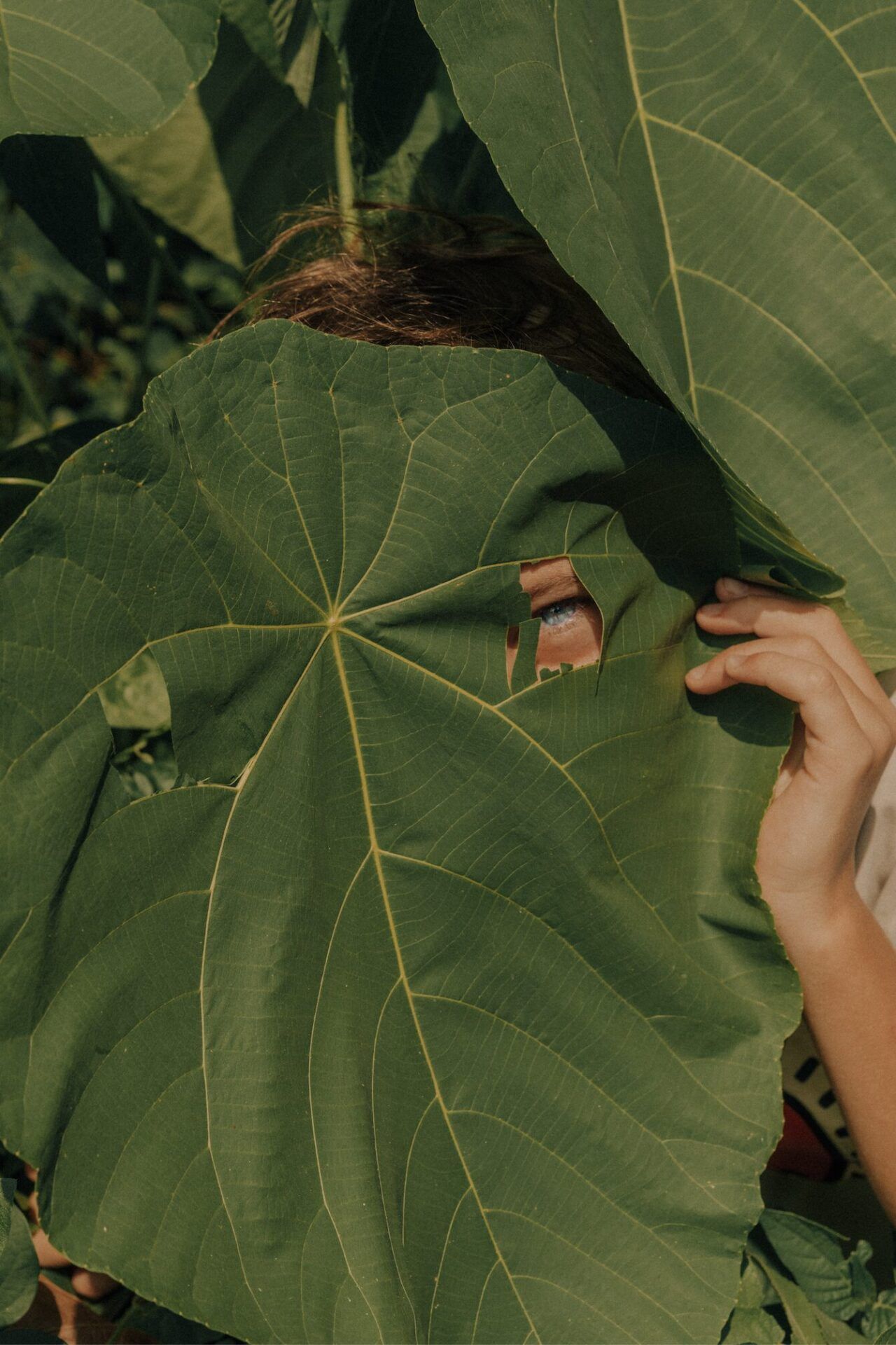 Lisa Sorgini — Masks