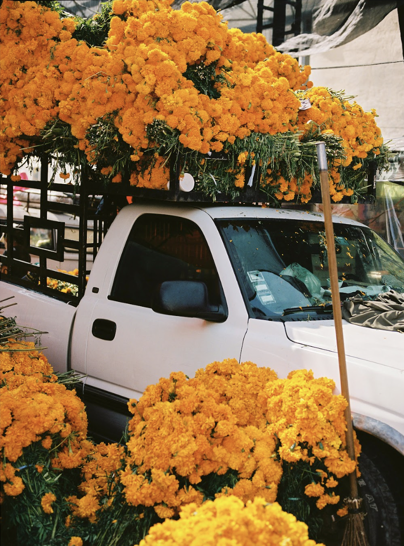 Pia Riverola — Mercado De Jamaica