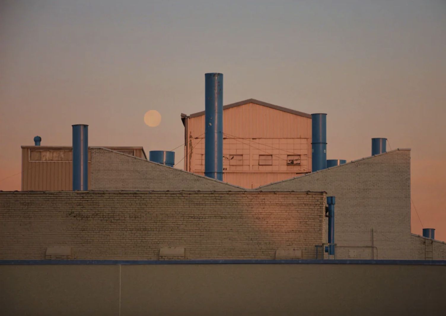 Hayley Eichenbaum — Cudahy Factory