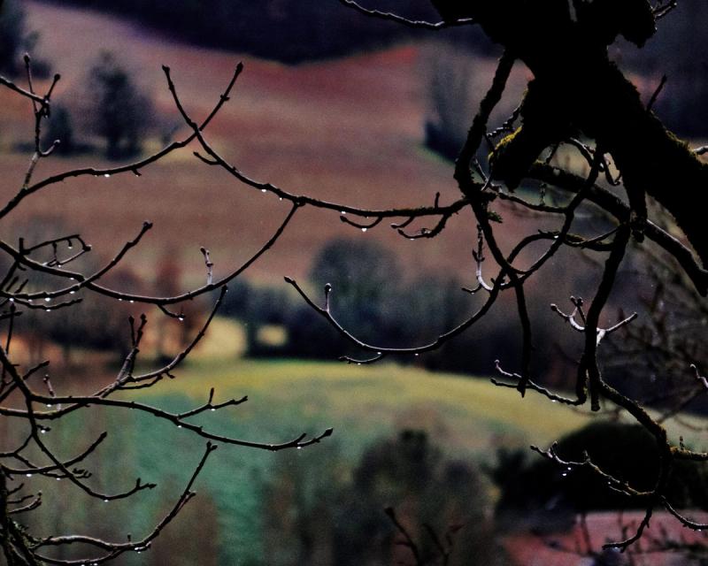 Lydia Roberts — Untitled 06