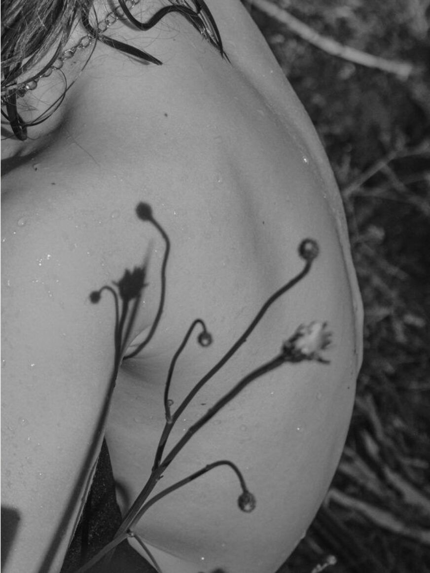 Lisa Sorgini — The Flood, The Bushfire #17