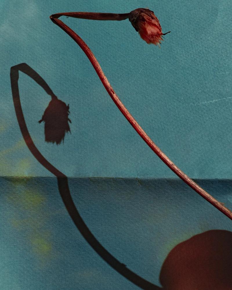Lydia Roberts — Untitled 08