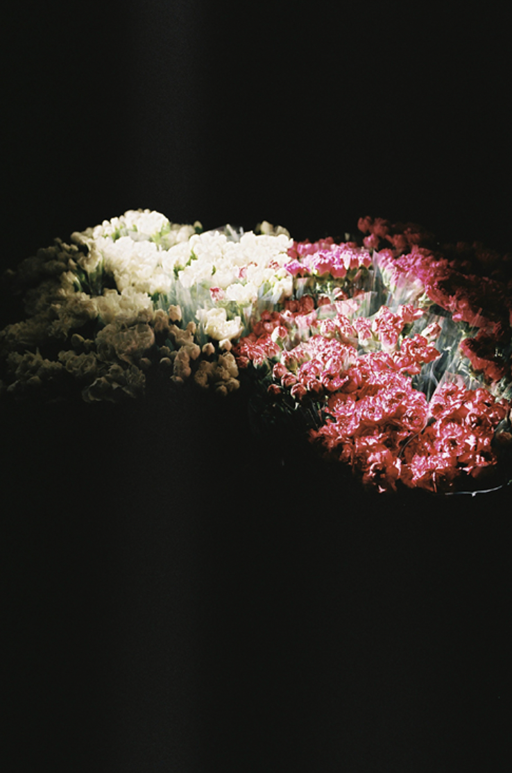 Pia Riverola — Flores