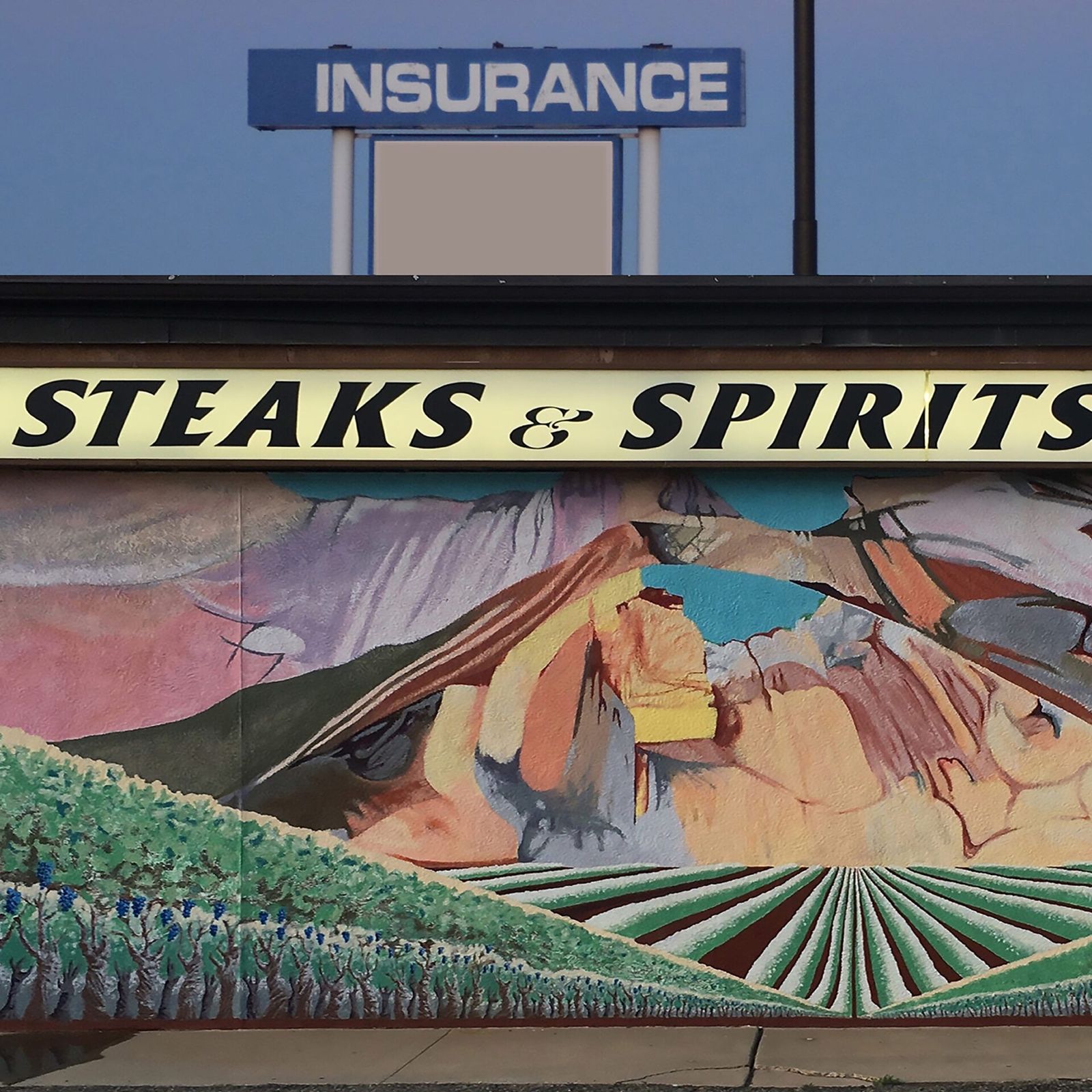 Hayley Eichenbaum — Steaks & Spirits