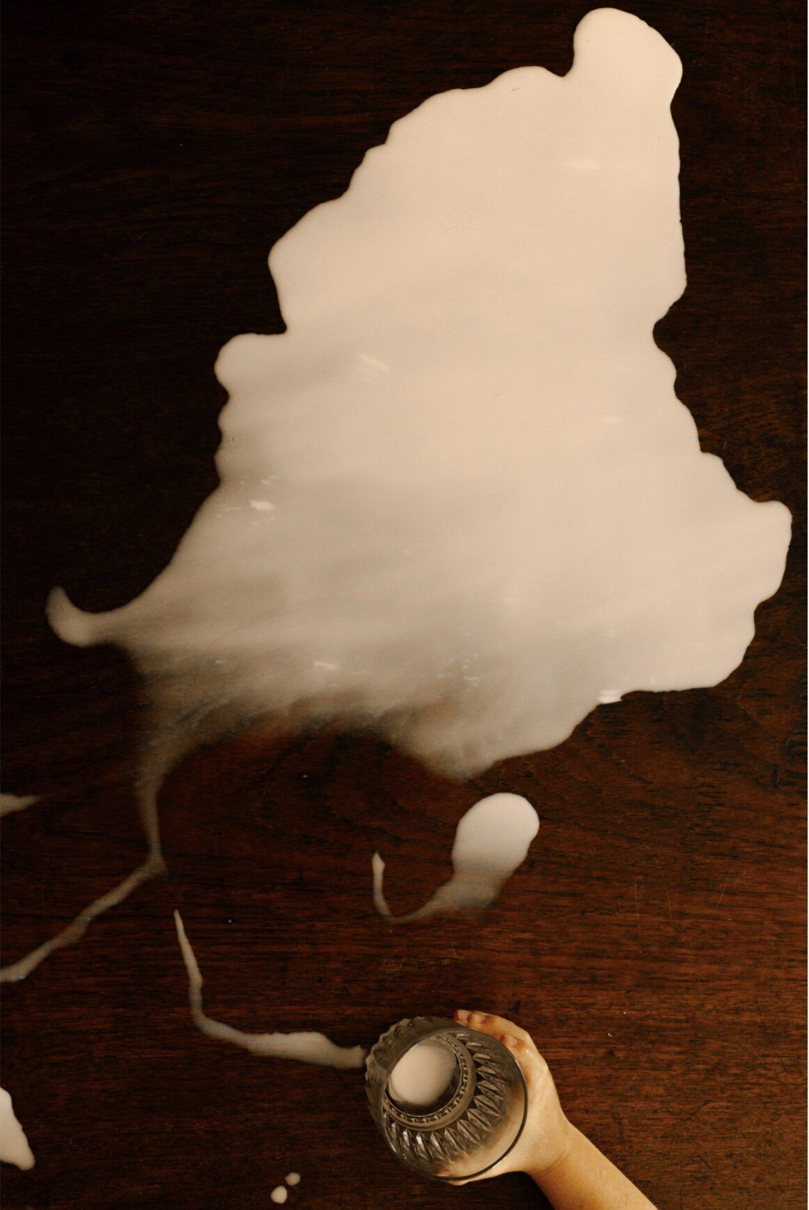 Lisa Sorgini — Milk stain