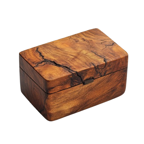 Σπεσιαλ Κυτίο