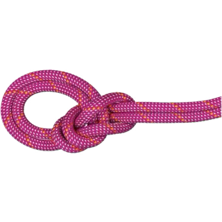 9.5 crag dry rope