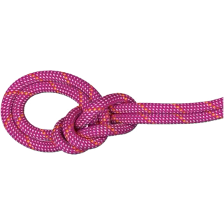 9.5 crag dry rope