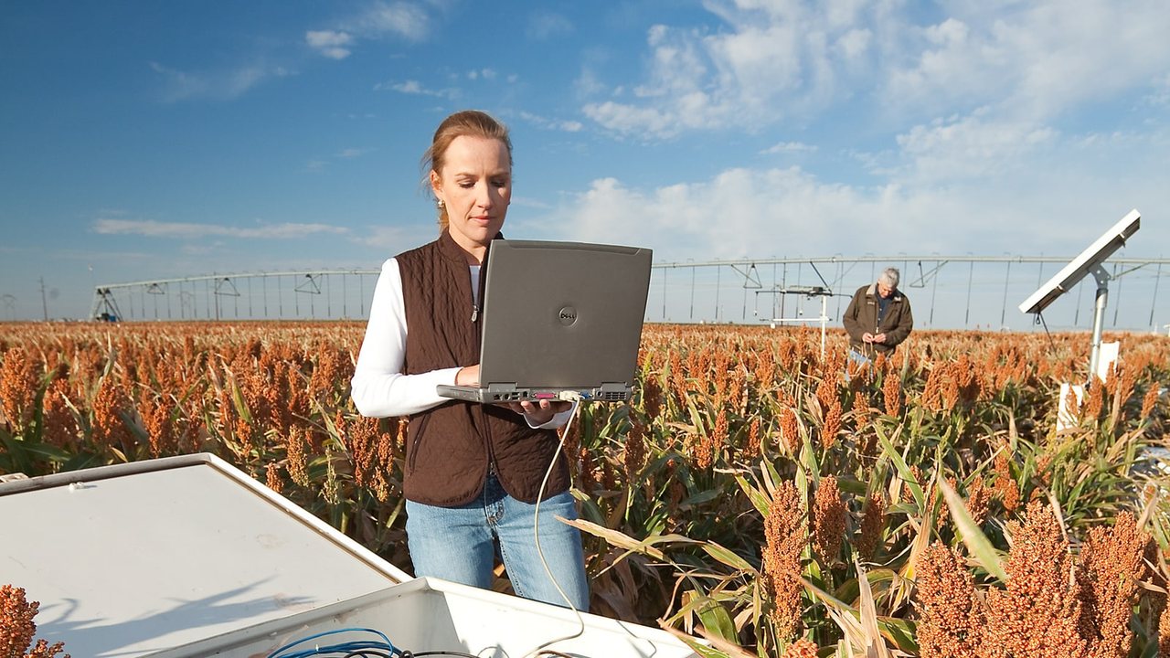 USDA-ARS technician using a laptop beside soil-water monitoring equipment in a sorghum field, with a center pivot behind her