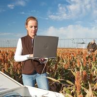 USDA-ARS technician using a laptop beside soil-water monitoring equipment in a sorghum field, with a center pivot behind her