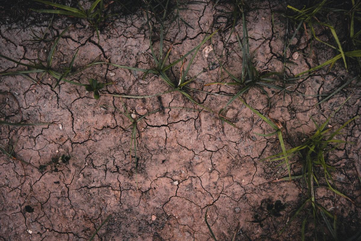 Field context