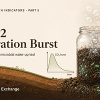 Illustration of soil CO2 respiration: a rewetted soil core releasing CO2 with a 4-day burst curve.