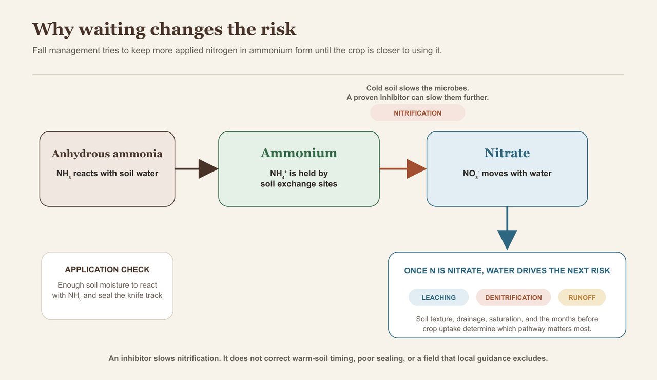 A nitrogen pathway shows anhydrous ammonia reacting with soil water to form ammonium, nitrification converting ammonium to nitrate, and nitrate becoming exposed to leaching, denitrification, and runoff risks.
