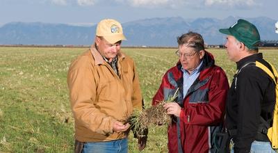 What Is the Soil We Save Actually Worth?
