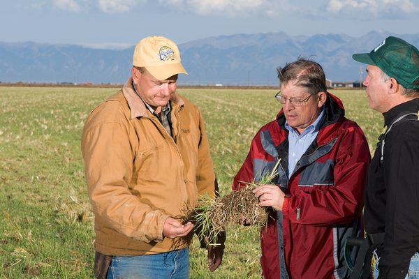 What Is the Soil We Save Actually Worth?