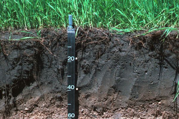 Agricultural Carbon Markets in 2026: What Remains, What They Pay, Whether It's Worth It