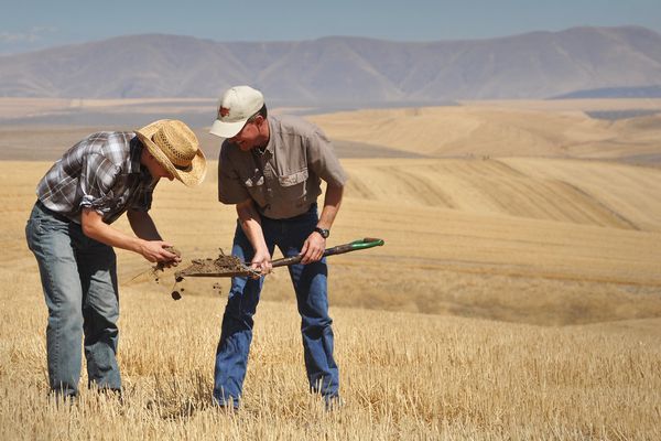 How to Build a CEMA 216 Sampling Plan: A Step-by-Step Field Guide