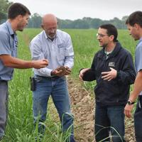 Two farmers and two NRCS soil specialists examine handfuls of soil in a green sugarcane field.