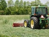 A tractor-mounted roller-crimper flattens a standing cover crop into an anchored surface mulch.