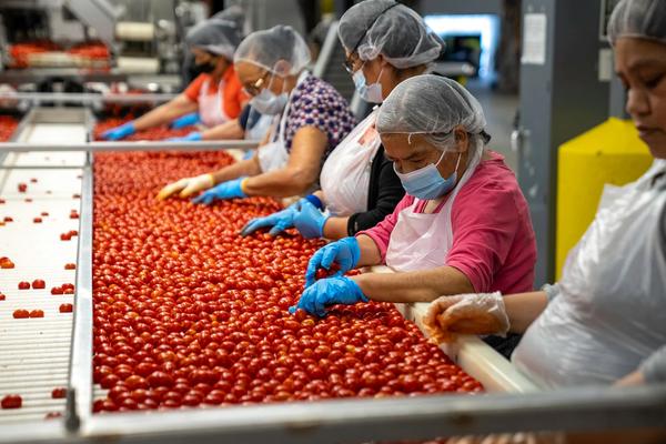 Building Reliable Organic Supply for Processors and CPG Brands