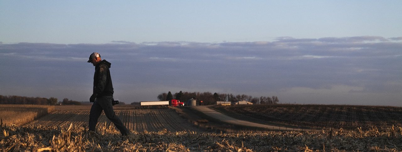 A farmer walking through a harvested field at Feikema Farms.