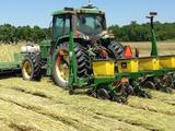 A tractor rolls a rye cover crop and plants cotton in the same field pass