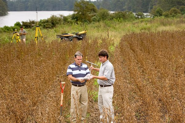 Fall Soil Sampling: What to Test, When to Sample, and How to Use the Results