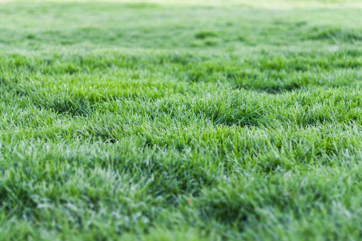 Field context