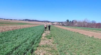 Cover Crop Economics: What It Actually Costs and When It Pays Back