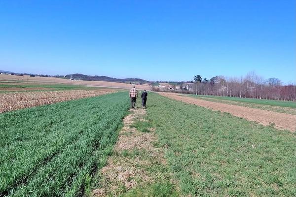 Cover Crop Economics: What It Actually Costs and When It Pays Back
