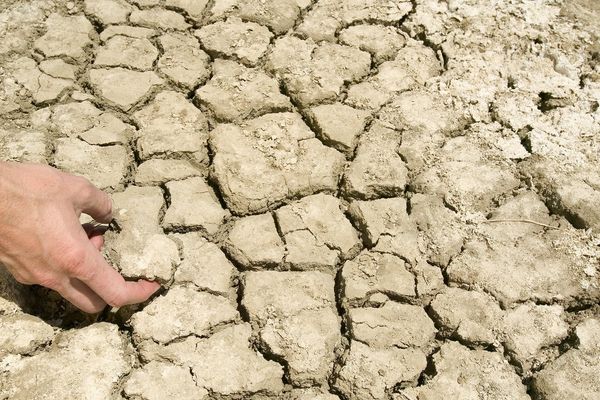 How Much Extra Water Does Healthy Soil Actually Hold? Debunking the 20,000 Gallons Claim