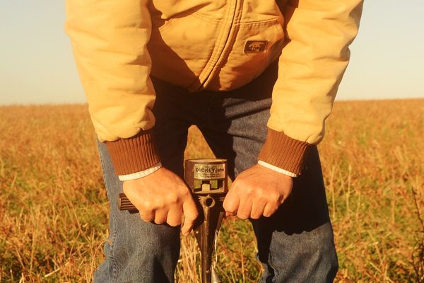 Soil Compaction: Diagnosis