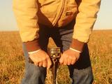 A farmer uses a soil pressure probe in a no-till dryland wheat field in Texas.