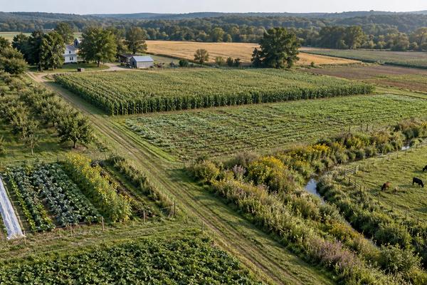 Beyond Monocrops: How to Design Diversity Across the Whole Farm