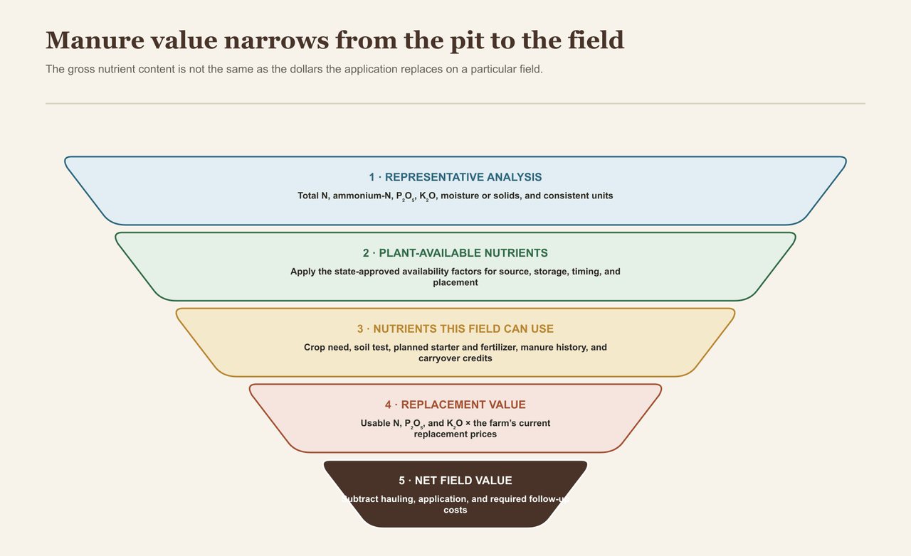 A five-stage funnel narrows from representative manure analysis to plant-available nutrients, nutrients the field can use, fertilizer replacement value, and net field value after hauling and application costs.