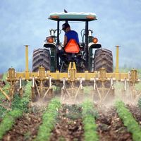 A tractor-mounted cultivator working between rows of young soybeans