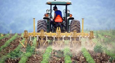 Weed Suppression on a Diverse Organic Farm: Build a Season-Long Plan