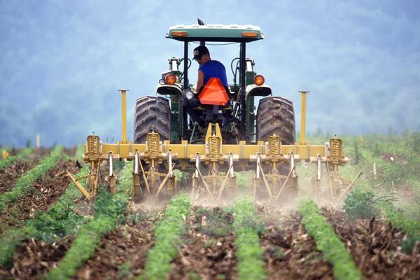Weed Suppression on a Diverse Organic Farm: Build a Season-Long Plan